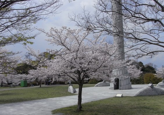 平和公園,名古屋,花見,2021,見頃,開花予想,穴場,桜