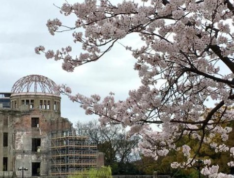 平和記念公園,広島,花見,2021,見頃,開花予想,穴場,桜
