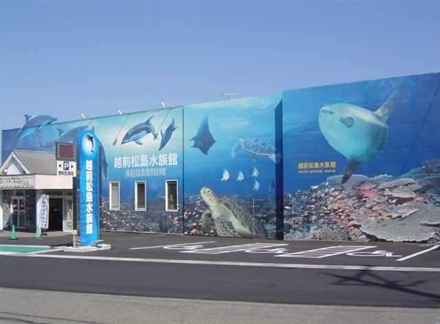 越前松島水族館,GW,2020,混雑予想,混雑状況,駐車場,待ち時間,攻略