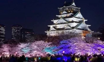 大阪城公園,花見,2021,いい,開花予想,穴場,桜